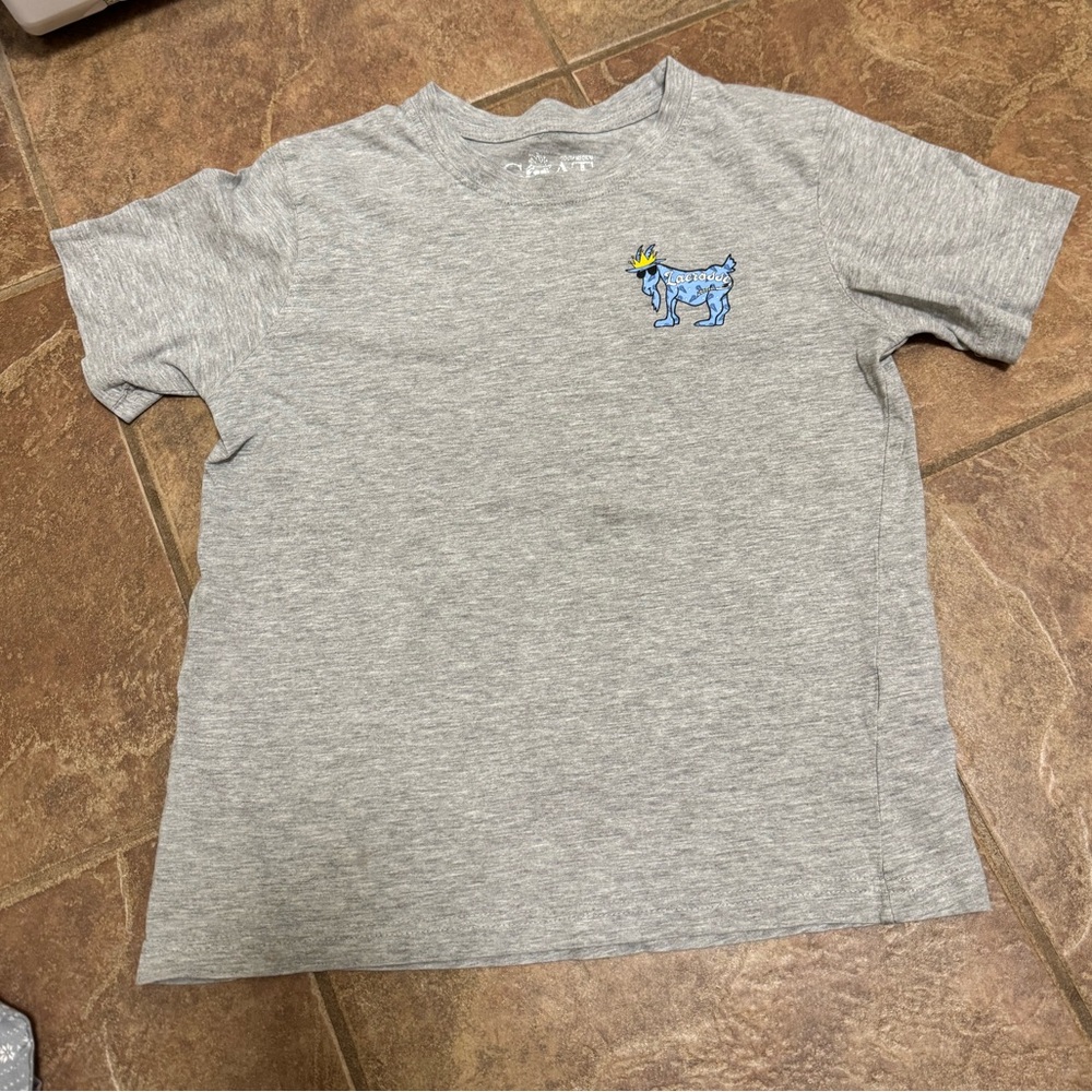 Gray Kids T-Shirt with Blue Dinosaur Print